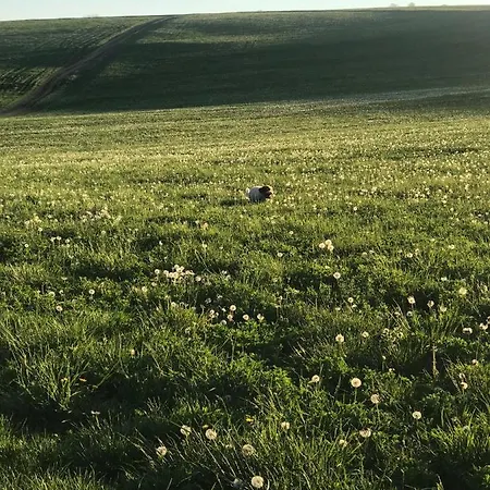 Holiday home Spoko Liptov Trstene