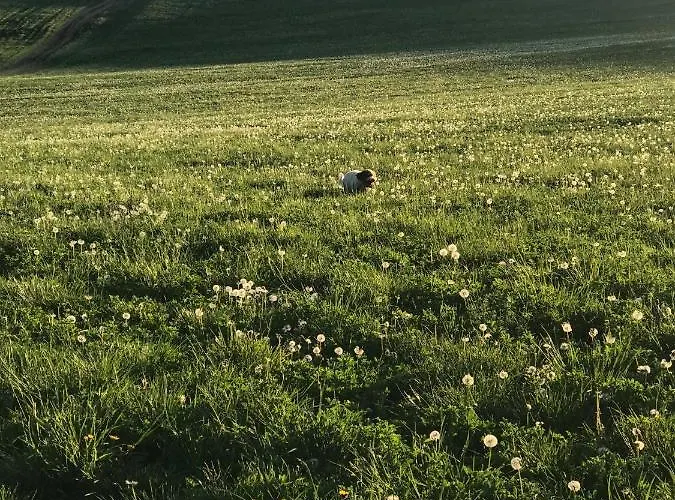 Vakantiehuis Spoko Liptov Trstené